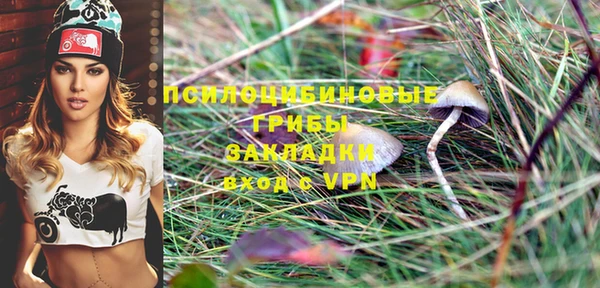 PSILOCYBIN Бронницы